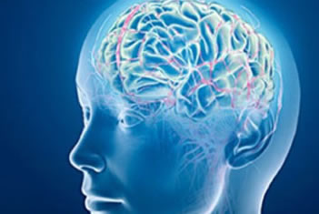 Dopamine – The Single Most Important Word You’ve Never Heard Of